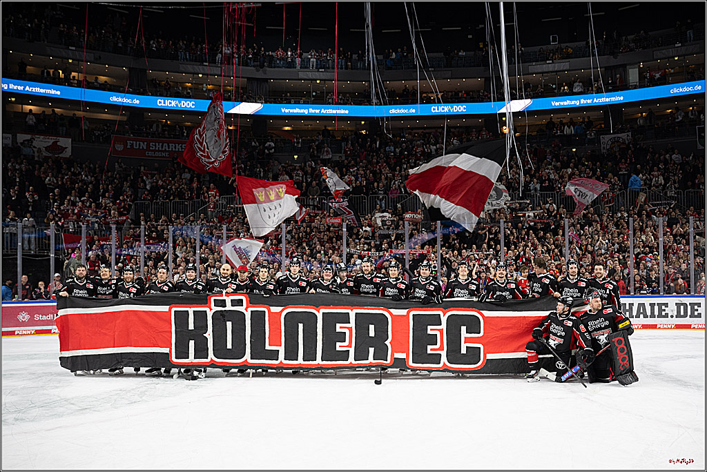 PENNY DEL 1; Kölner Haie - Düsseldorfer EG ; Köln, 16.02.2025